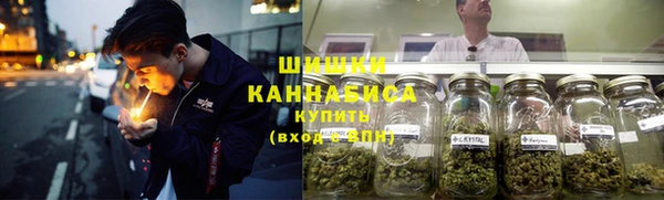 дмт Инсар