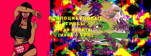 молекула духа Иннополис