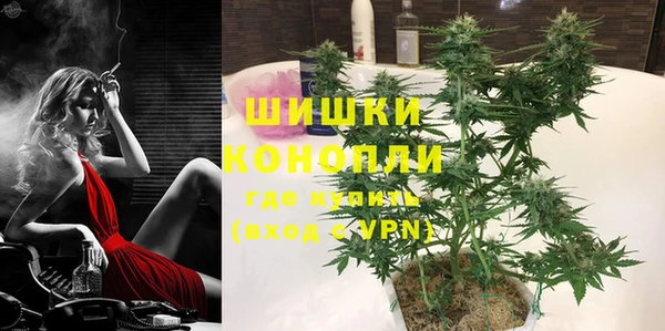 дмт Инсар