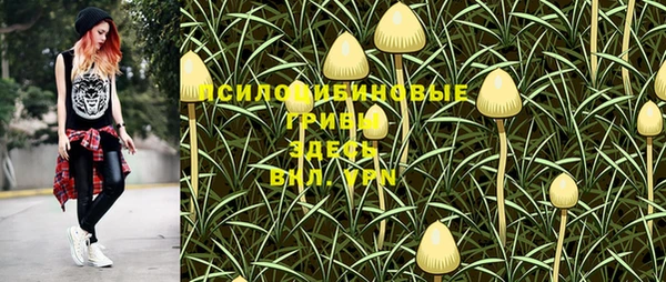 скорость Инта