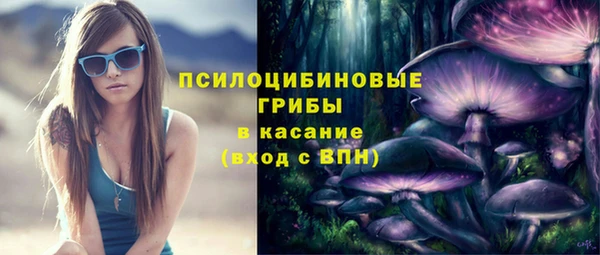 ПСИЛОЦИБИНОВЫЕ ГРИБЫ Слюдянка