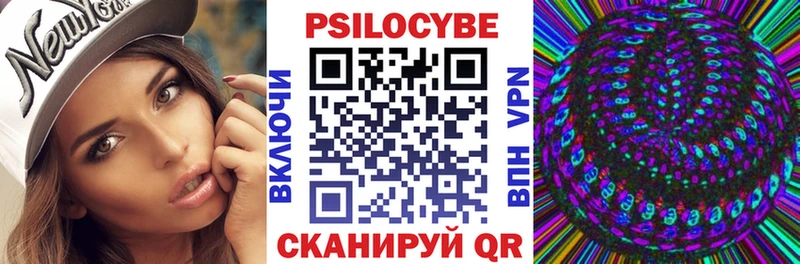 купить закладку  Камешково  MEGA ТОР  Галлюциногенные грибы MAGIC MUSHROOMS 